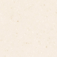 Seashell AS642