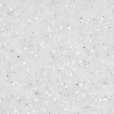 Snow AS610